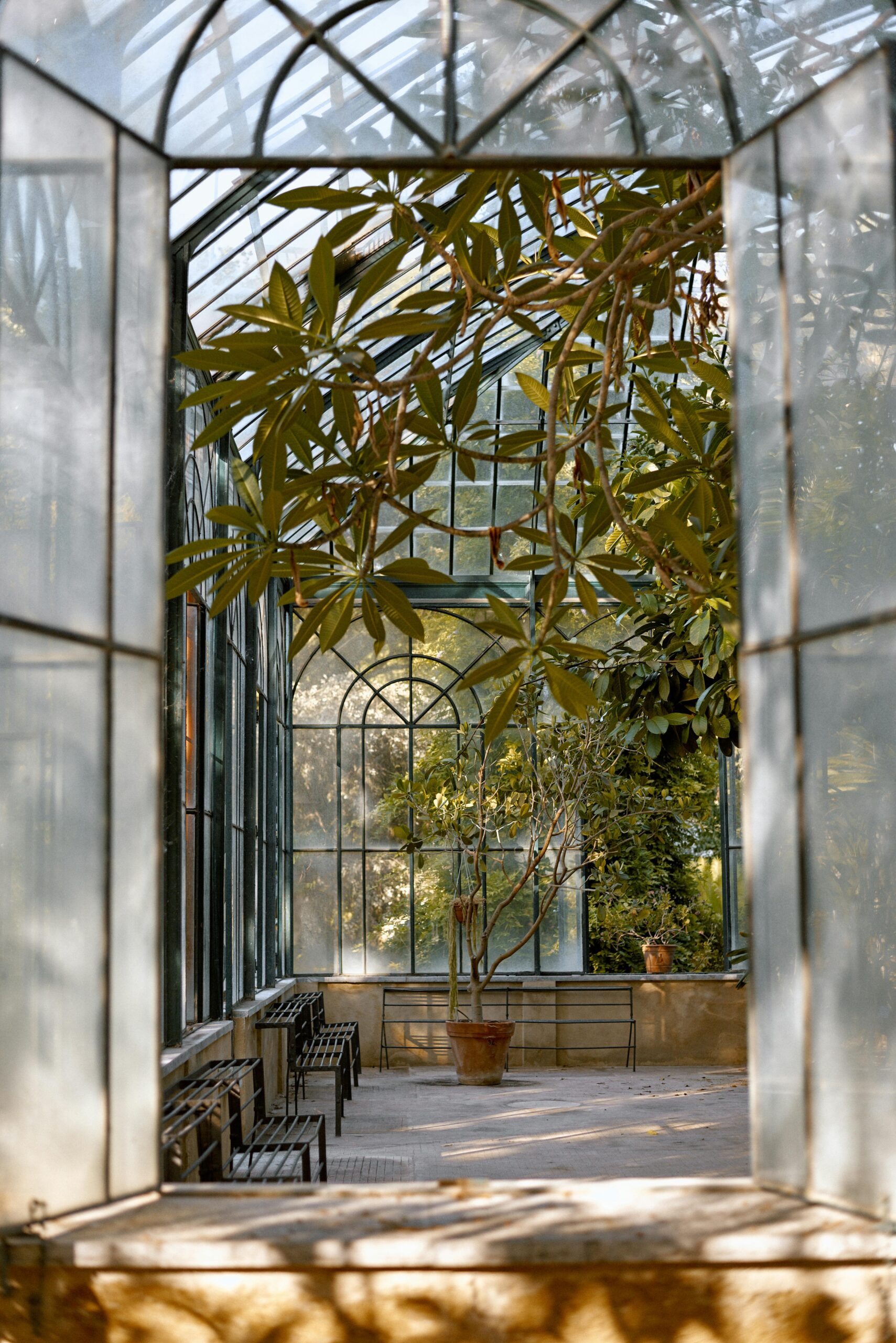 Glasshouse garden